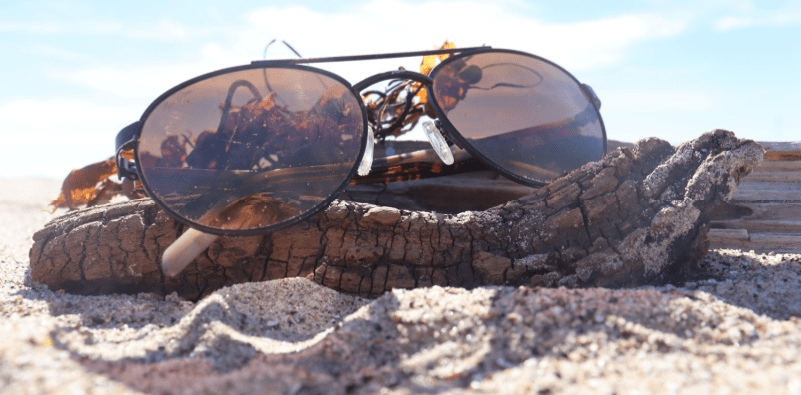 A pair of aviator style sunglasses on a piece of driftwood and seaweed on the beach